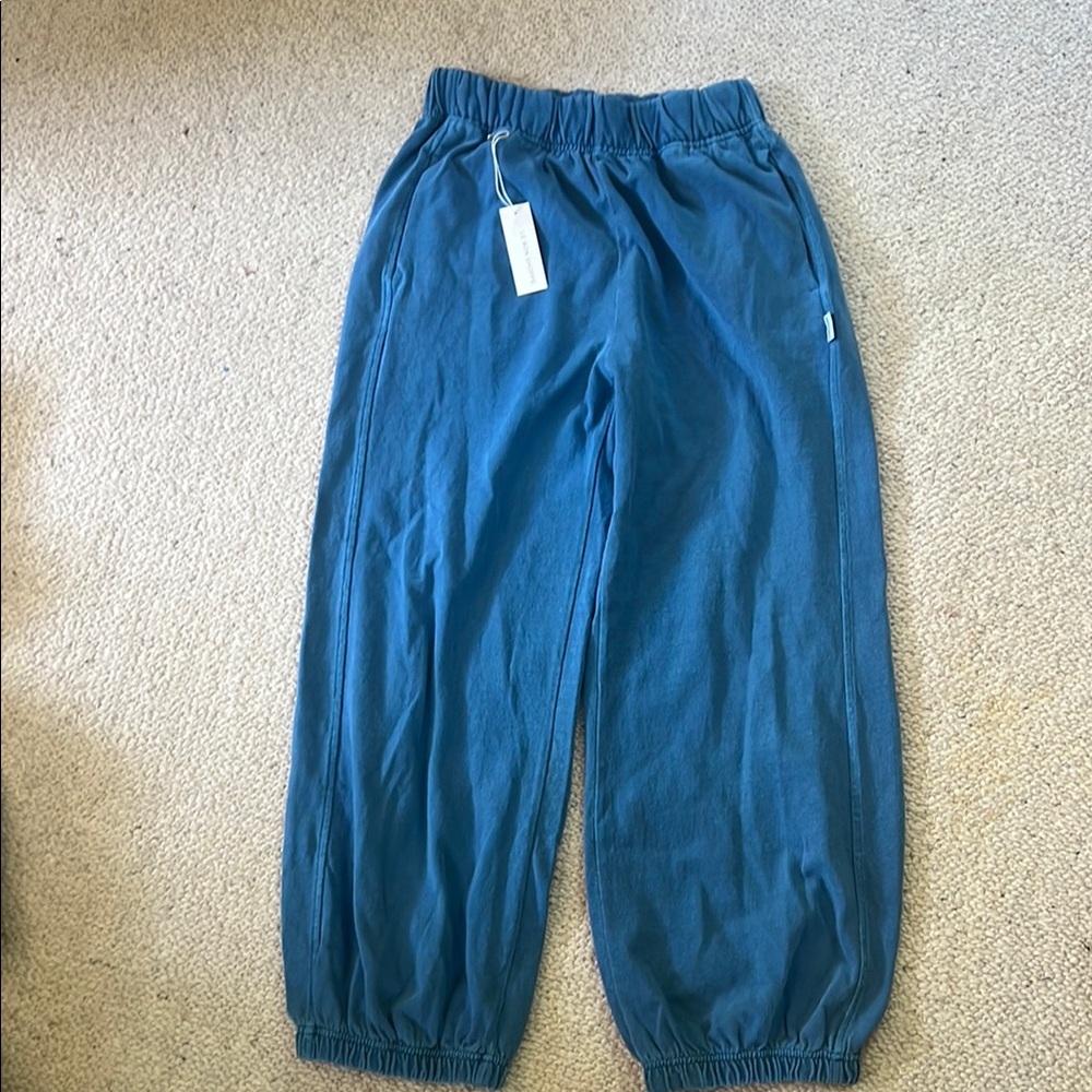 NWT Le Bon Shoppe Balloon Pant size Small Ocean